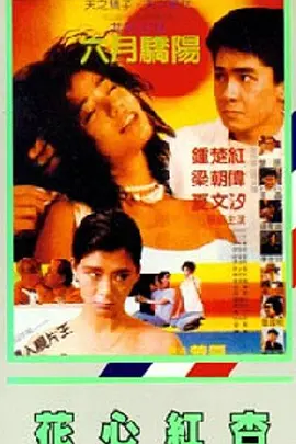 日韩美香港a一级毛片